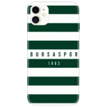 BS-Yeşil Beyaz 1963